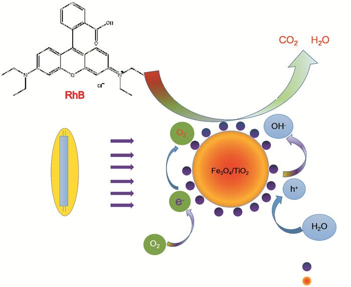 活性劑生物降解測試